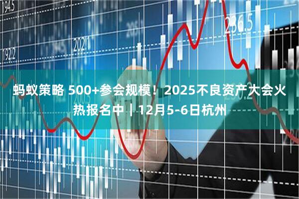 蚂蚁策略 500+参会规模！2025不良资产大会火热报名中｜12月5-6日杭州